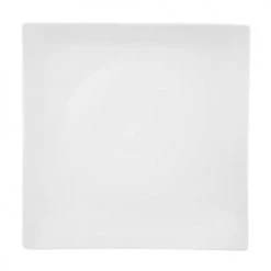 Medard De Noblat Assiettes Plates Assiette Plate Grand Modèle En Porcelaine De Limoges Blanc