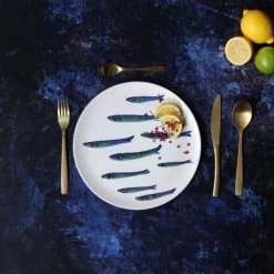 Novastyl Lot De 6 Assiettes Plates En Faïence D27cm 7 Novastyl Lot De 6 Assiettes Plates En Faïence D27cm -Assiettes Soldes Magasin lot de 6 assiettes plates en faience d27cm 1